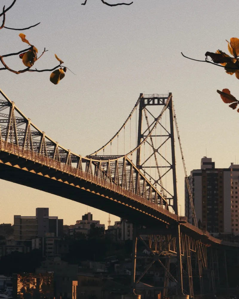 Ponte Hercílio Luz ao entardecer, vista de baixo, entre galhos